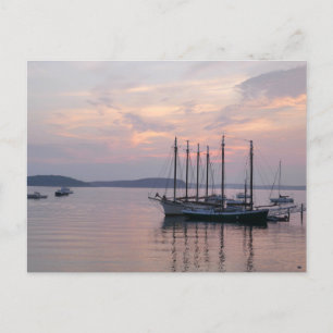 Bar Harbor Ships at Sunrise II Postcard