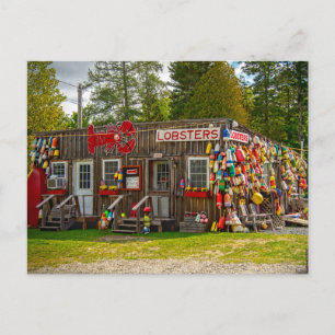 Bar Harbour Lobsters Postcard