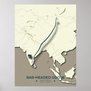 Bar-headed Goose Migration Map – Minimalist Poster
