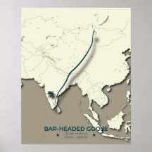 Bar-headed Goose Migration Map – Minimalist
