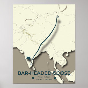 Bar-headed Goose Migration Map – Minimalist Poster