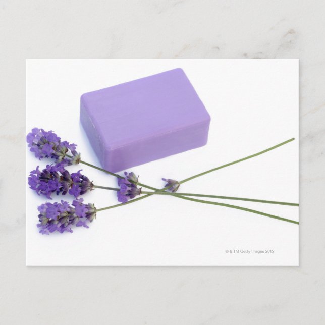 Bar of lavender soap made from 100% natural oils postcard (Front)