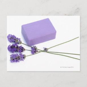 Bar of lavender soap made from 100% natural oils postcard