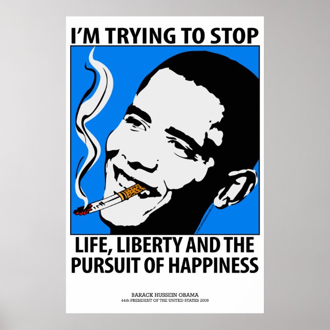 Barack Obama Politics Satire Poster (Front)