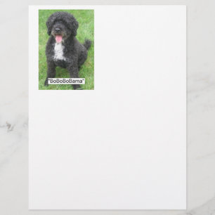 Barack Obama Portuguese Water Dog