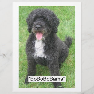 Barack Obama Portuguese Water Dog Flyer