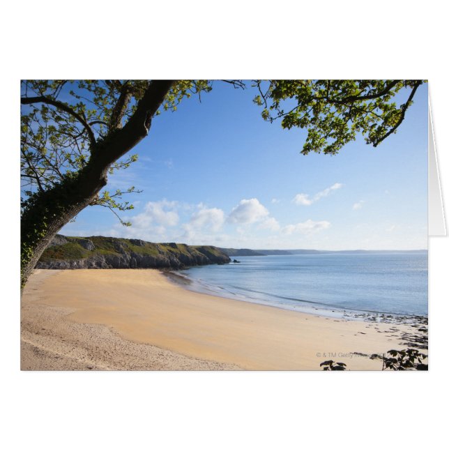 Barafundle Bay Pembroke Pembrokeshire Coast (Front Horizontal)