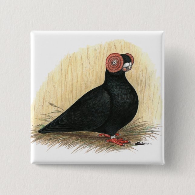 Barb Pigeon Standard Black 15 Cm Square Badge (Front)