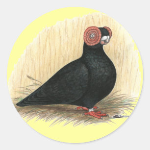 Barb Pigeon Standard Black Classic Round Sticker