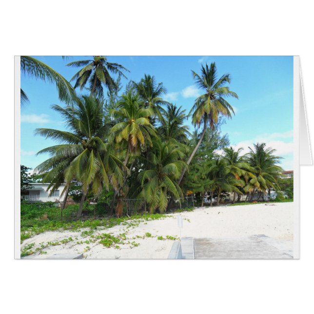 Barbados 2010 279 (Front Horizontal)