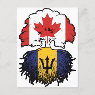 Barbados Barbadian Canadian Canada Tree Roots Flag Postcard