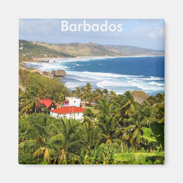 Barbados, Beautiful view of the hillside and ocean Magnet (Front)