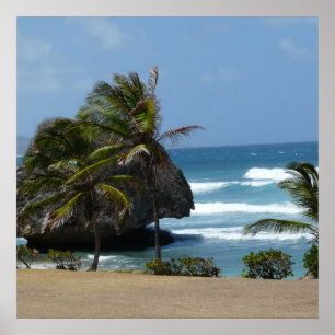 Barbados Beauty Poster