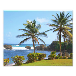 Barbados, Caribbean, ocean, Palm Trees, photograph