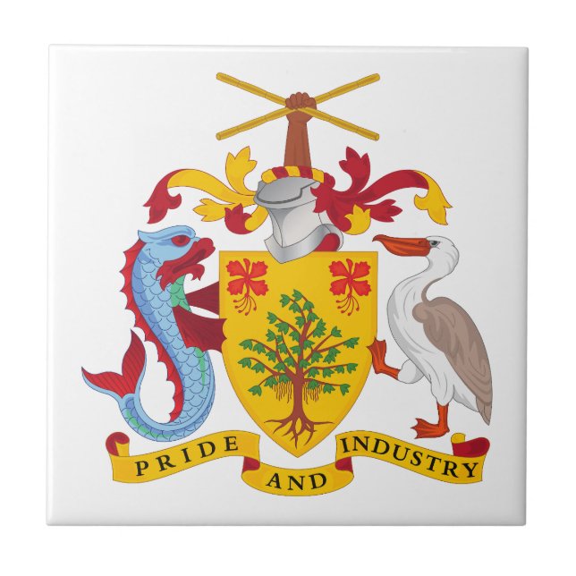 Barbados country coat arms symbol emblem flag tile (Front)