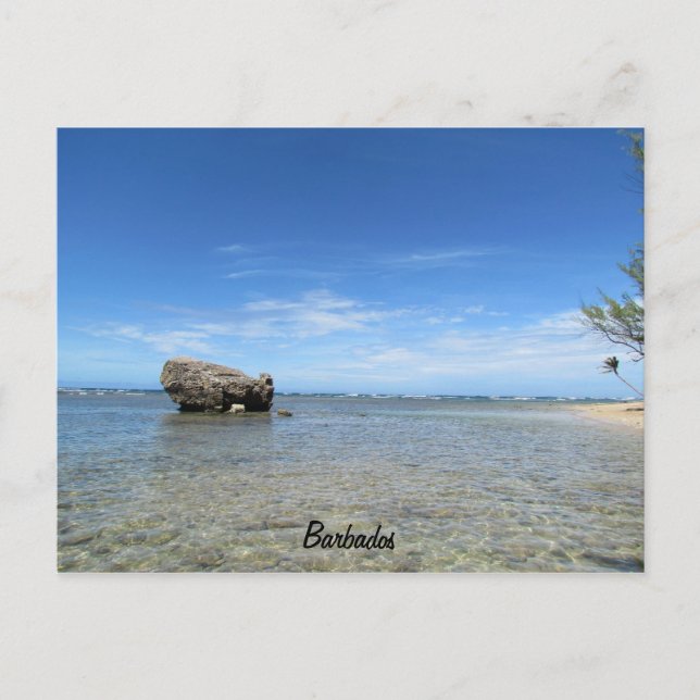 Barbados - East Coast 1 Postcard (Front)