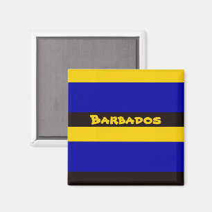 Barbados Flag Stripe Colours  Magnet