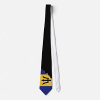 Barbados Flag