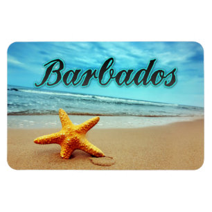 Barbados Magnet