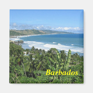 Barbados magnet