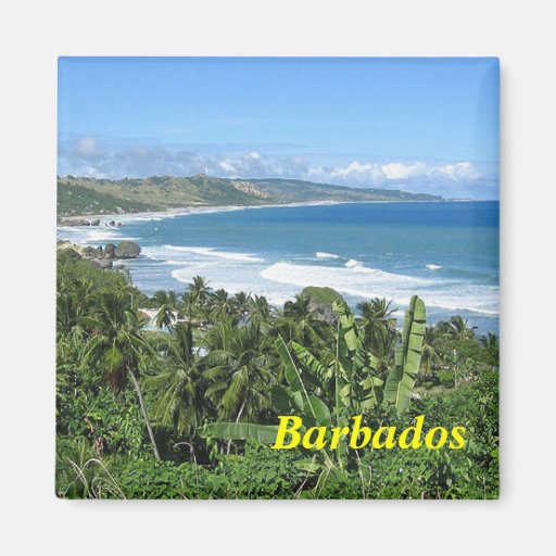 Image of Barbados magnet