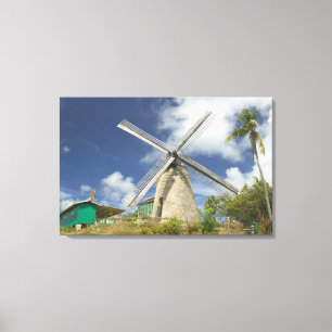 BARBADOS, North East Coast, Morgan Lewis: Morgan Canvas Print
