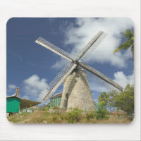 BARBADOS, North East Coast, Morgan Lewis: Morgan