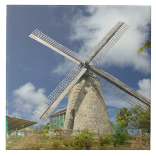 BARBADOS, North East Coast, Morgan Lewis: Morgan Tile