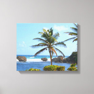 Barbados, Ocean, Palm Trees, High Definition photo Canvas Print