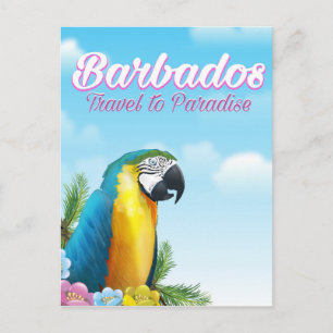 Barbados Parrot travel poster Postcard