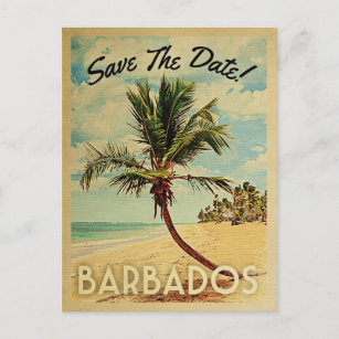 Barbados Save The Date Vintage Beach Palm Tree Announcement Postcard
