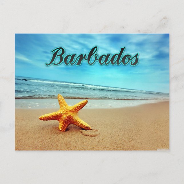 Barbados starfish postcard (Front)