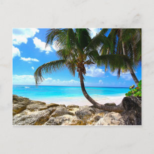 Barbados- White sandy beach postcard