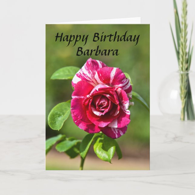 Barbara Dark Pink and White Striped Rose, Birthday Card (Front)
