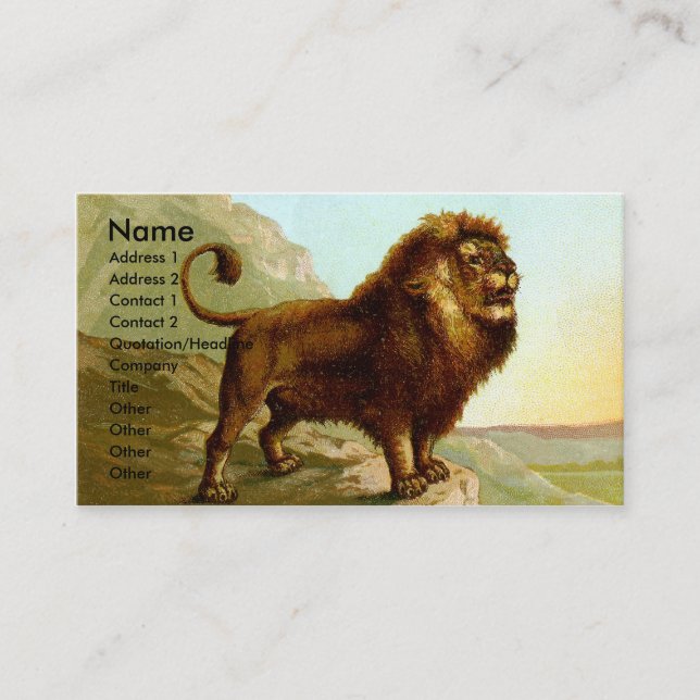Barbary Lion Business Card (Front)