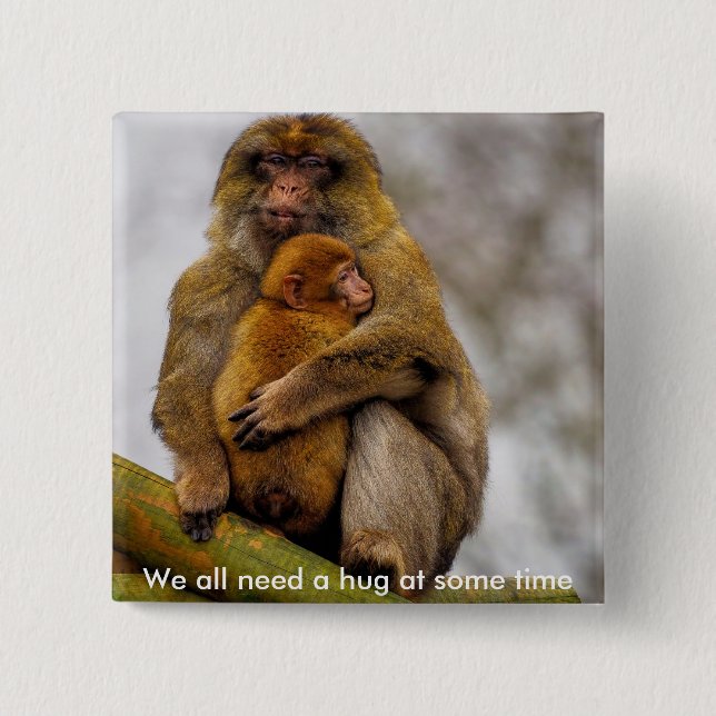 Barbary macaque mum and baby 15 cm square badge (Front)