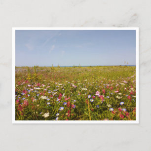 Barbate, Andalusia (Spain) Postcard
