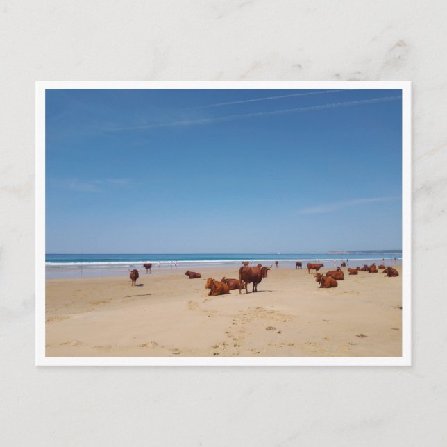 Barbate, Andalusia (Spain) Postcard (Front)