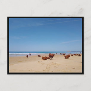 Barbate, Andalusia (Spain) Postcard