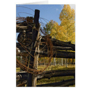 Barbed Wire