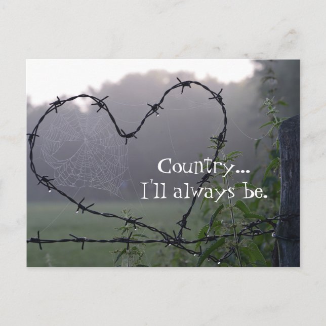 Barbed Wire Country Heart Postcard (Front)