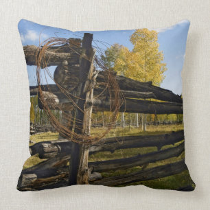 Barbed Wire Cushion