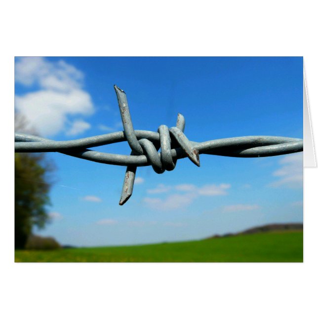 Barbed-Wire Fence Blank Card (Front Horizontal)