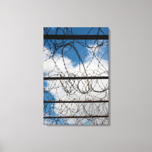 Barbed Wire Fence Canvas Print