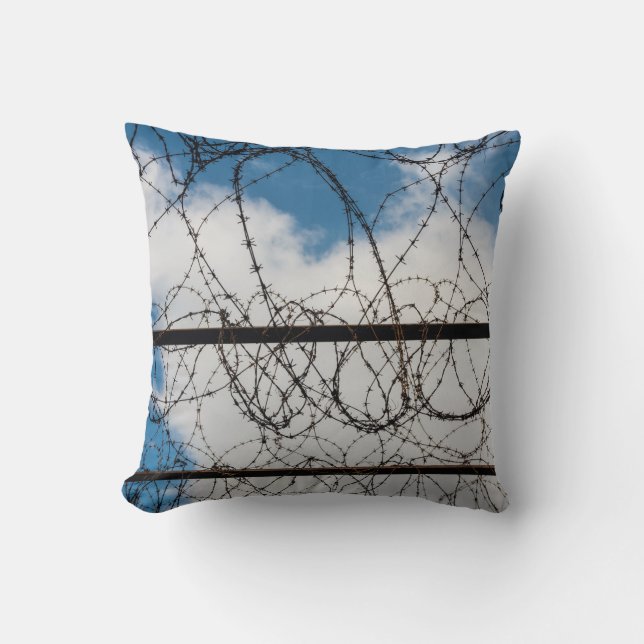 Barbed Wire Fence Cushion (Front)