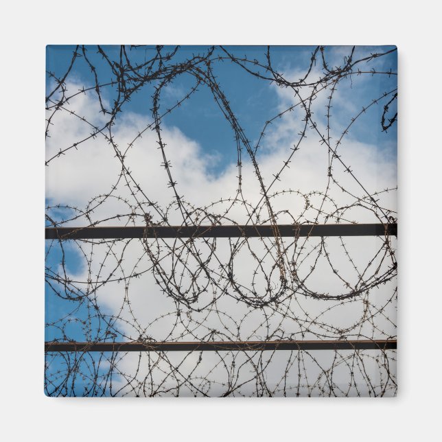 Barbed Wire Fence Magnet (Front)