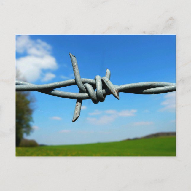 Barbed-Wire Fence Postcard (Front)