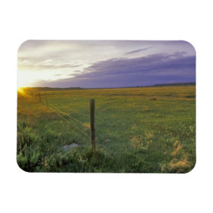 Barbed Wire Fenceline in northeastern Montana Magnet