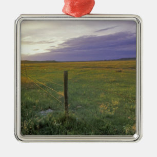Barbed Wire Fenceline in northeastern Montana Metal Tree Decoration