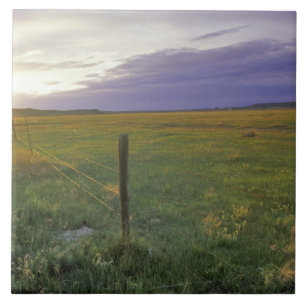 Barbed Wire Fenceline in northeastern Montana Tile